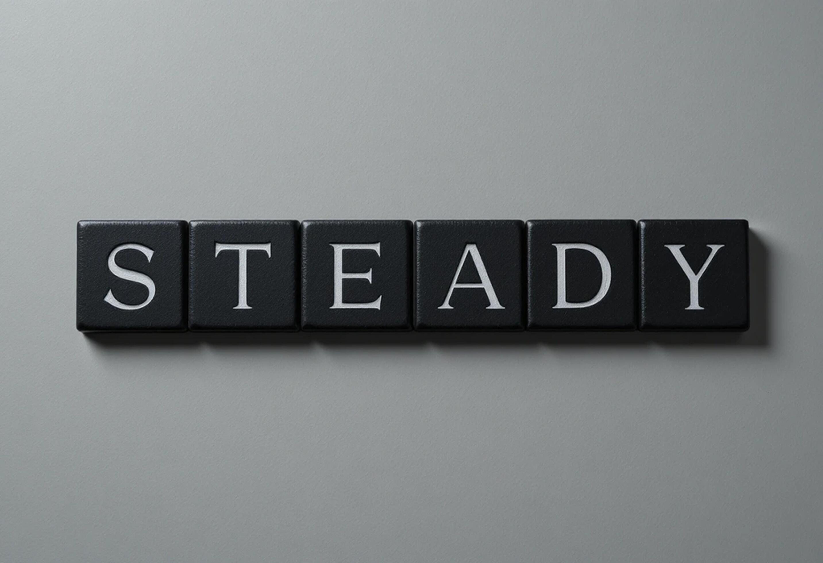 The STEADY Framework